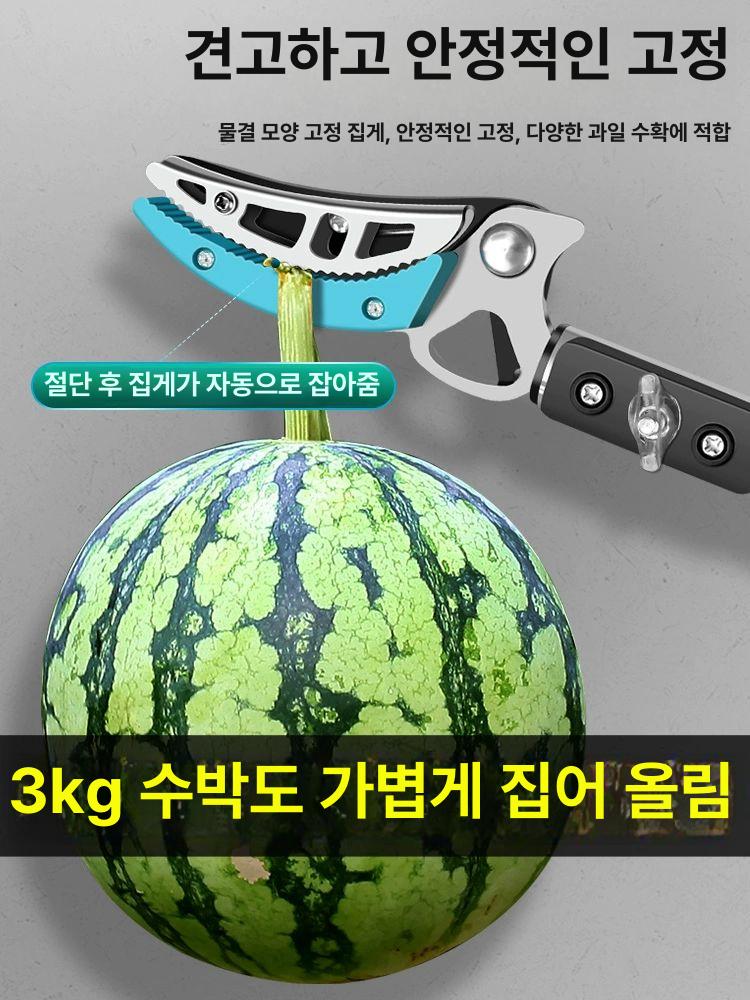 정원 장대가위 높은나무 조경 과일 나무가지 장대전지가위 전정가위 원예용 고소 - 상세 이미지 3