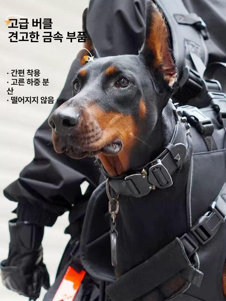 애견 강아지백팩 반려견 포대기 가방 배낭 반려동물 대형견백팩 캐리어 산책용 이동장 - 상세 이미지 3