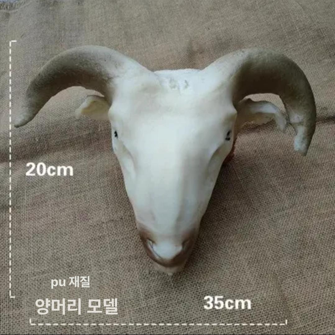 제삿상 가짜돼지머리모형 개업식 정육점 고사용 식당 장식품 고사돼지머리모형 촬영 - 상세 이미지 4