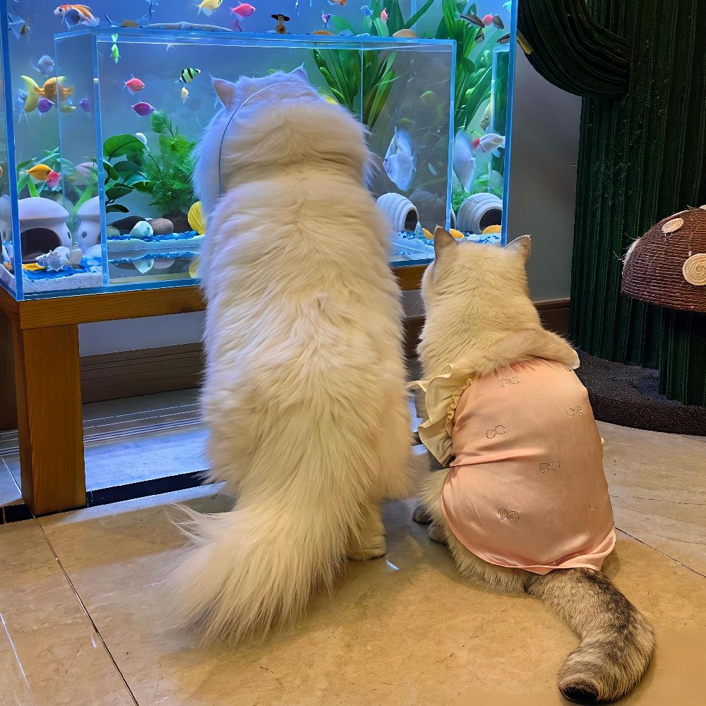 고양이 어항 터널 투명유리 아크릴 인테리어 관상용 수족관 캣플릭스 공간 놀이 - 상세 이미지 2
