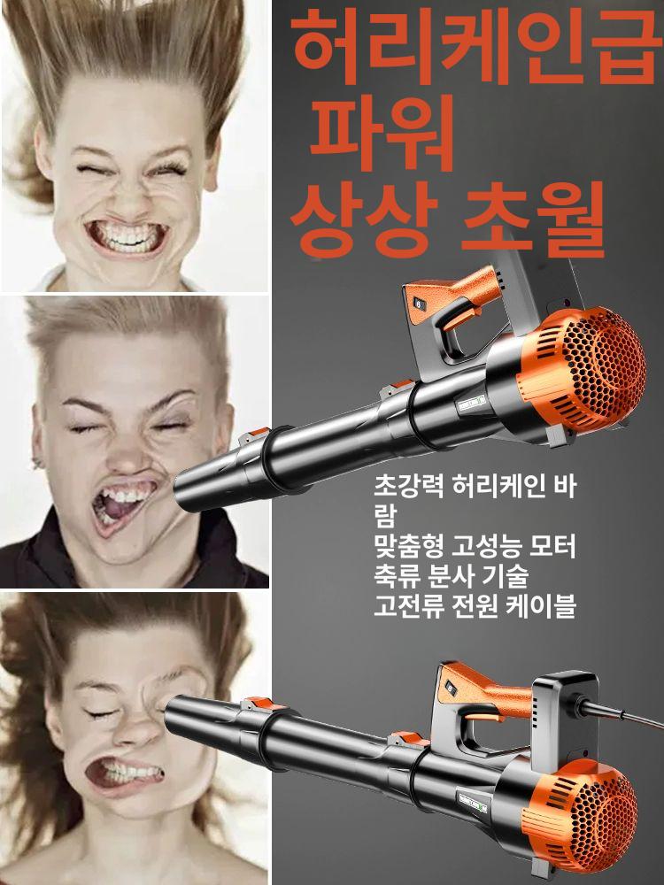 먼지 낙엽청소기 흡입기 속도조절 유선송풍기 전기 제설기 고압 대포송풍기 - 상세 이미지 5