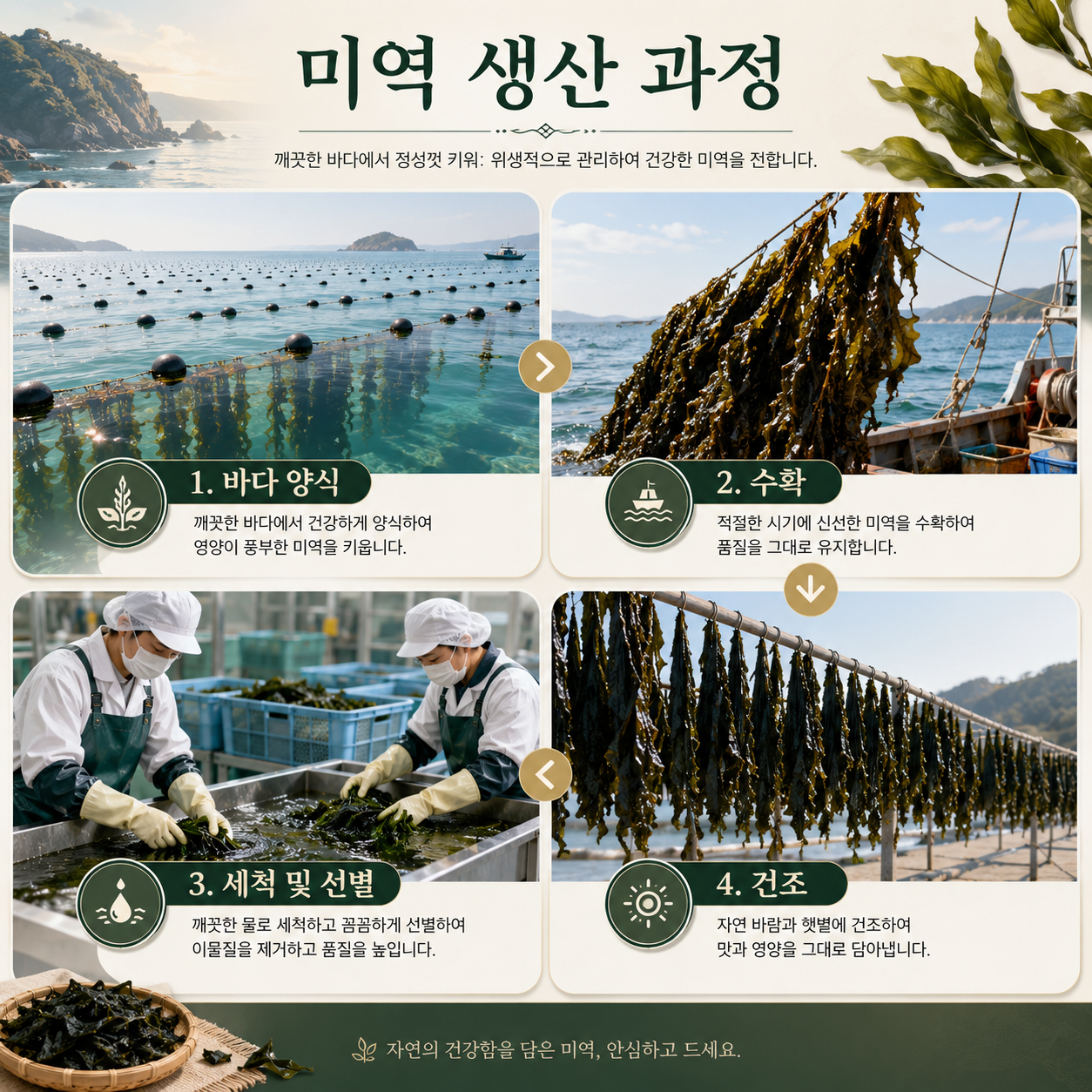 국내산 완도 건미역 조각 커팅 미역 식당 가정에서 간편하게 사용하기 좋은 10kg, 1개 이미지 6