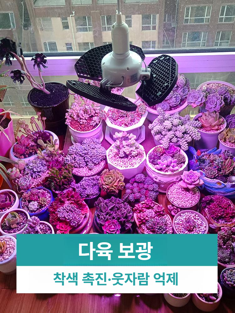 가드닝 식물조명 식물등 램프 성장 정원등 태양광 야외 풀스펙트럼 생장등 라이트 - 상세 이미지 3