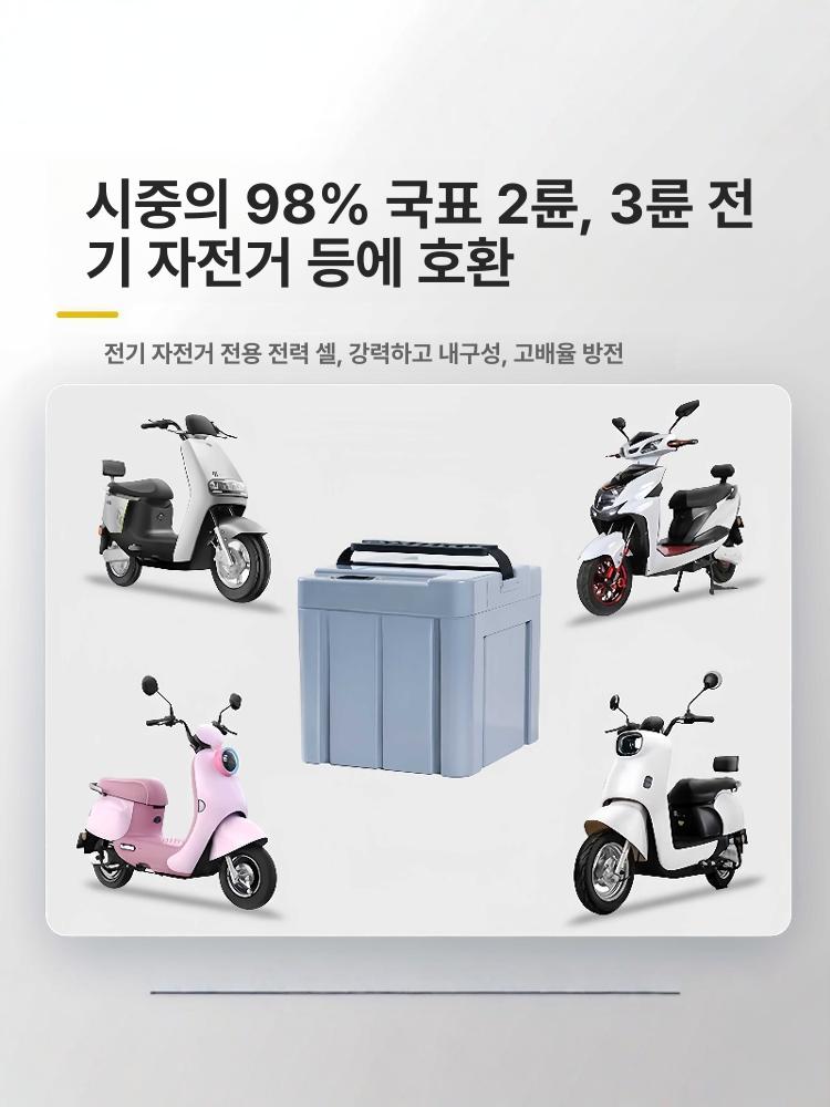 교체용 자전거 충전기 교체형 리튬배터리 대용량배터리 베터리 장착 인산철배터리 - 상세 이미지 2