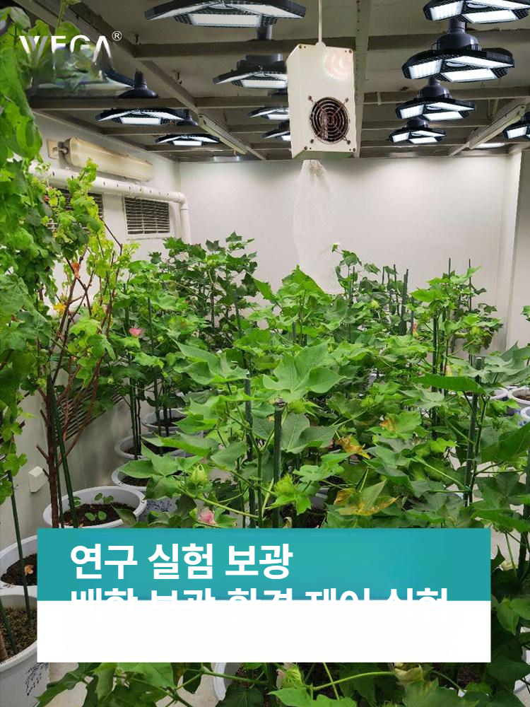가드닝 식물조명 식물등 램프 성장 정원등 태양광 야외 풀스펙트럼 생장등 라이트 - 상세 이미지 4