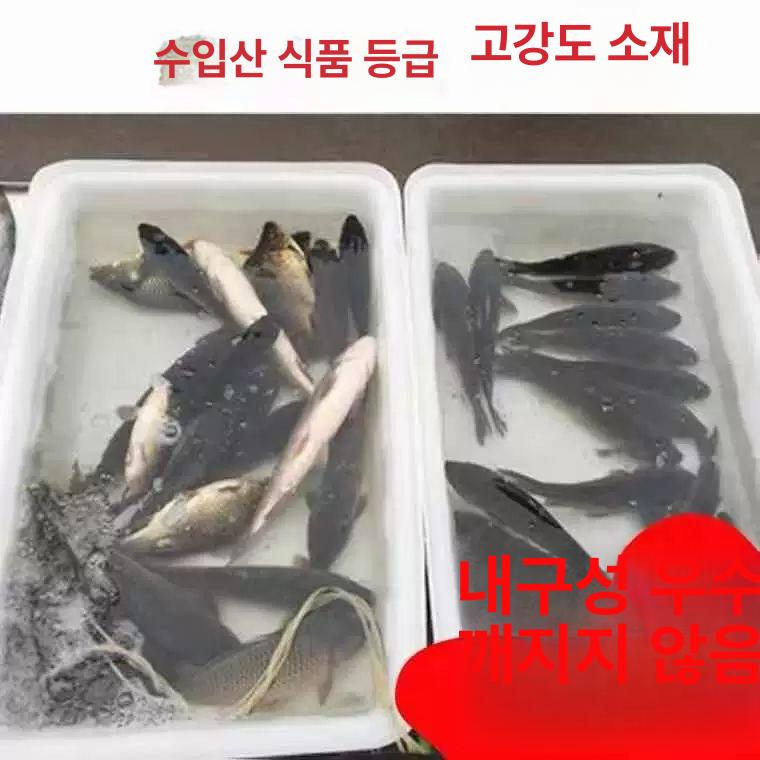 플라스틱 대형수조 거북이어항 쉼터 반수생 사육장 부화통 케이지 업소용 가정용 - 상세 이미지 4