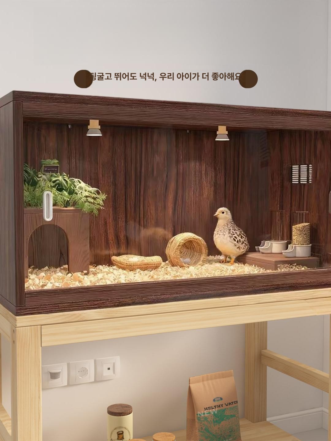 조류 거북이알부화기 사육장 보온 패키지 앵무새 온도조절기 이중 달걀 번식 가정용 - 상세 이미지 2