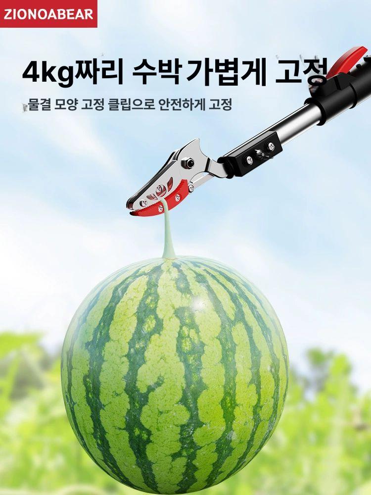 장대 두릅전지가위 열매 절단 따는 분재용 과수 원예 감 도구 과일따기 트리밍 조경 - 상세 이미지 2