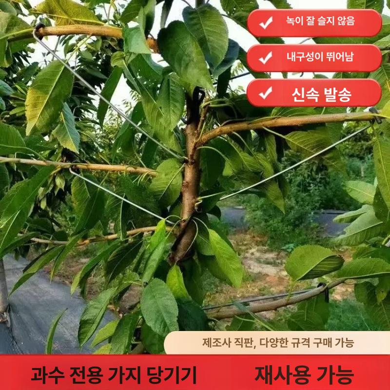 과수원 클립 원예 유인추 지주대 과일나무 개량형 유인기 나무가지 고정대 고리 자재 - 상세 이미지 4