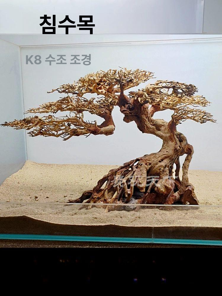 대형 유목 꾸미기 활착나무 모스나무 수조 이끼 풍경 레이아웃 장식품 어항장식 새우 - 상세 이미지 2