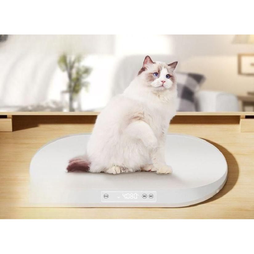 대형견 체중계 강아지 검은 무게 배터리 측정 애견 디지털 전자저울 병원 정밀펫저울 - 상품 이미지