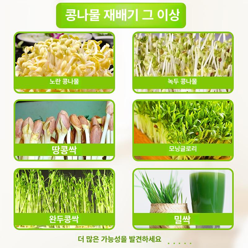 키우기 재배기 다기능 식물 집에서 기르기 숙주 채소 키우는기계 콩나물시루 콩발아기 - 상세 이미지 5