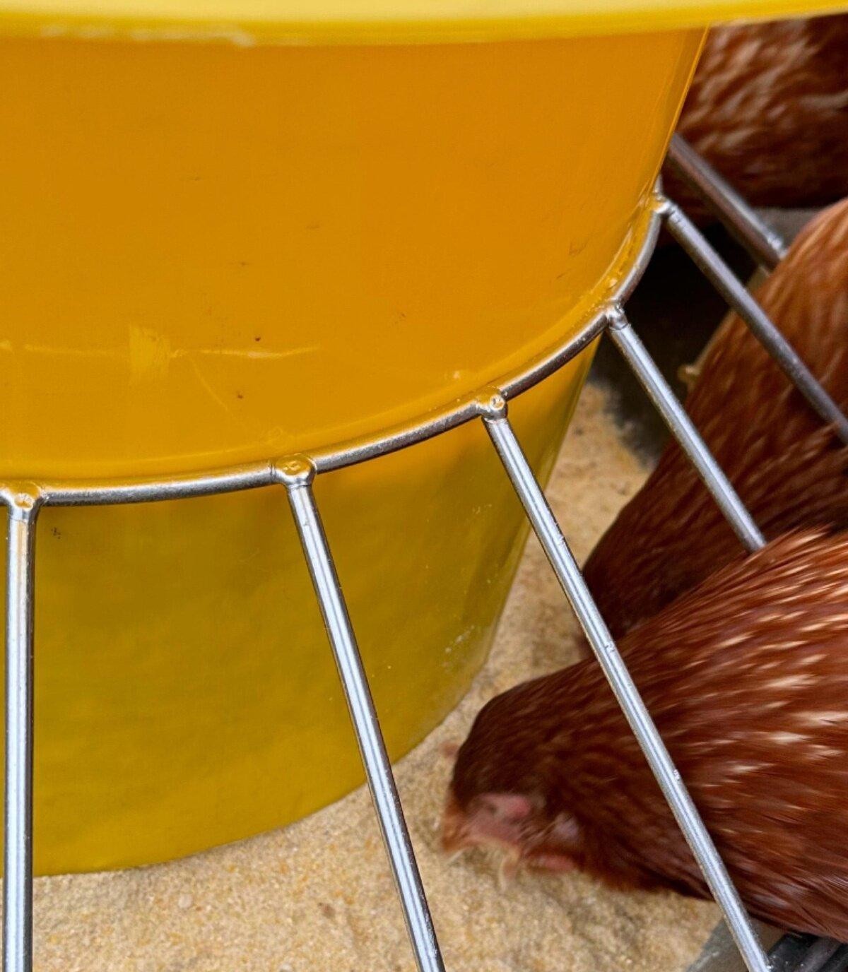원형 닭모이통 물통 사료통 급식기 피더 닭먹이통 급여기 타이머 공급기 자동식기 - 상세 이미지 5
