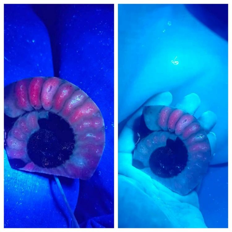 검사기 uv라이트 고성능 도자기 흠집 감별 위조 결함탐지 크랙 균열 자외선 감지 - 상세 이미지 4