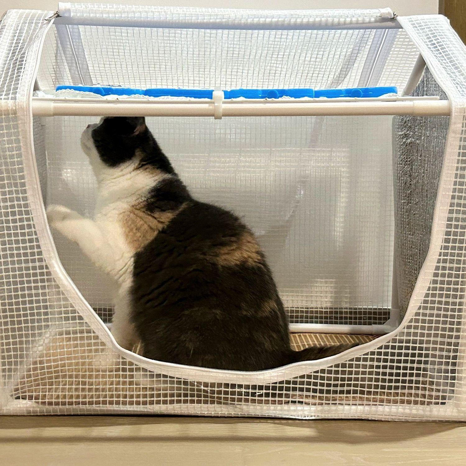 길고양이 고양이하우스 방수 길냥이 실외고양이집 난방 보온 사계절 쉼터 겨울나기 - 상세 이미지 5
