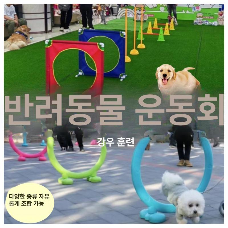 터널 애견놀이기구 도구 반려견장난감 강아지 스포츠 어질리티 훈련용품 도그 교육 - 상세 이미지 2