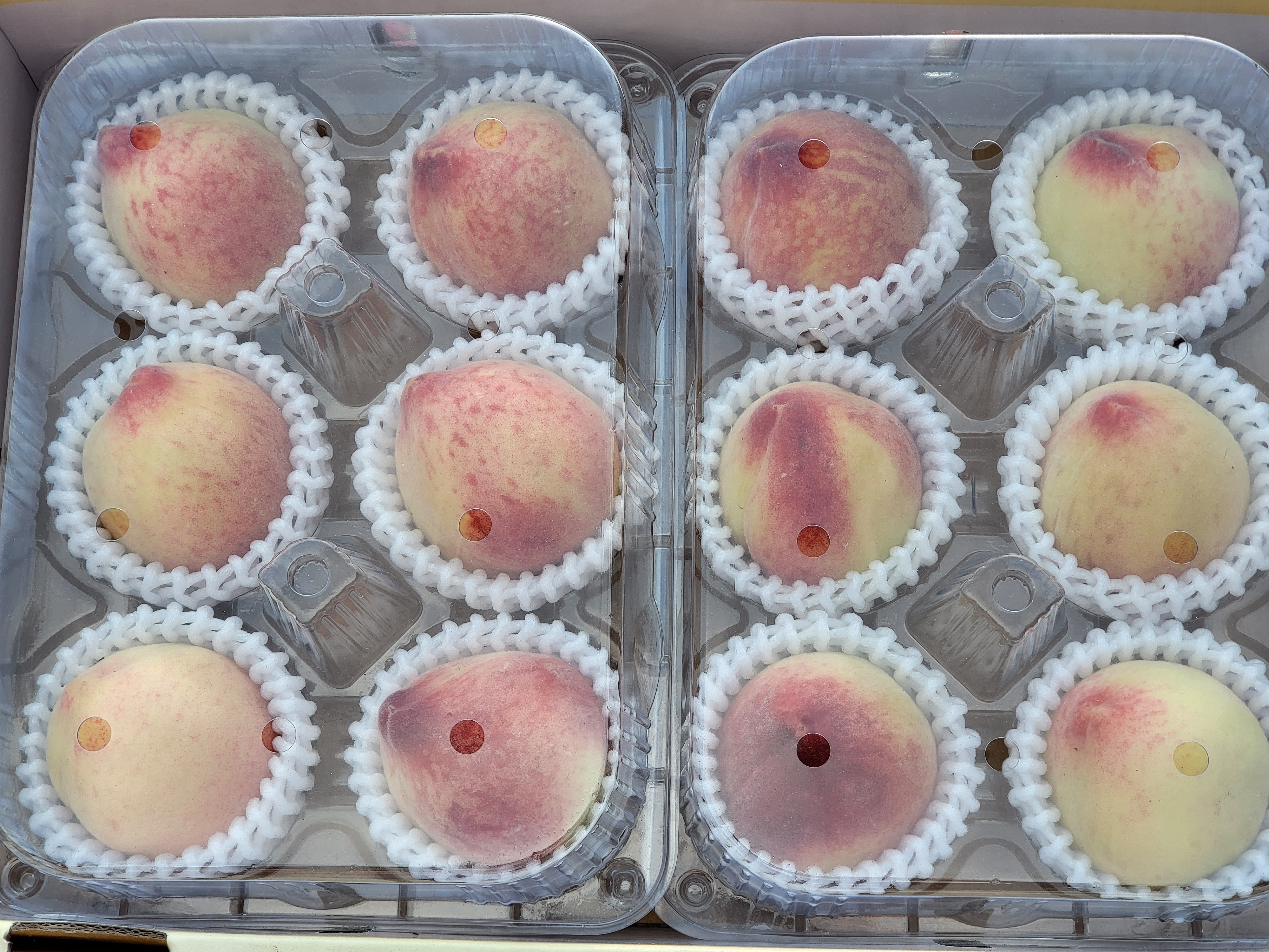 신선마켓 복숭아 딱딱이 특과, 2.5kg, 1개 - 상세 이미지 3