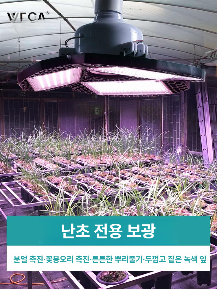 가드닝 식물조명 식물등 램프 성장 정원등 태양광 야외 풀스펙트럼 생장등 라이트 - 상세 이미지 2