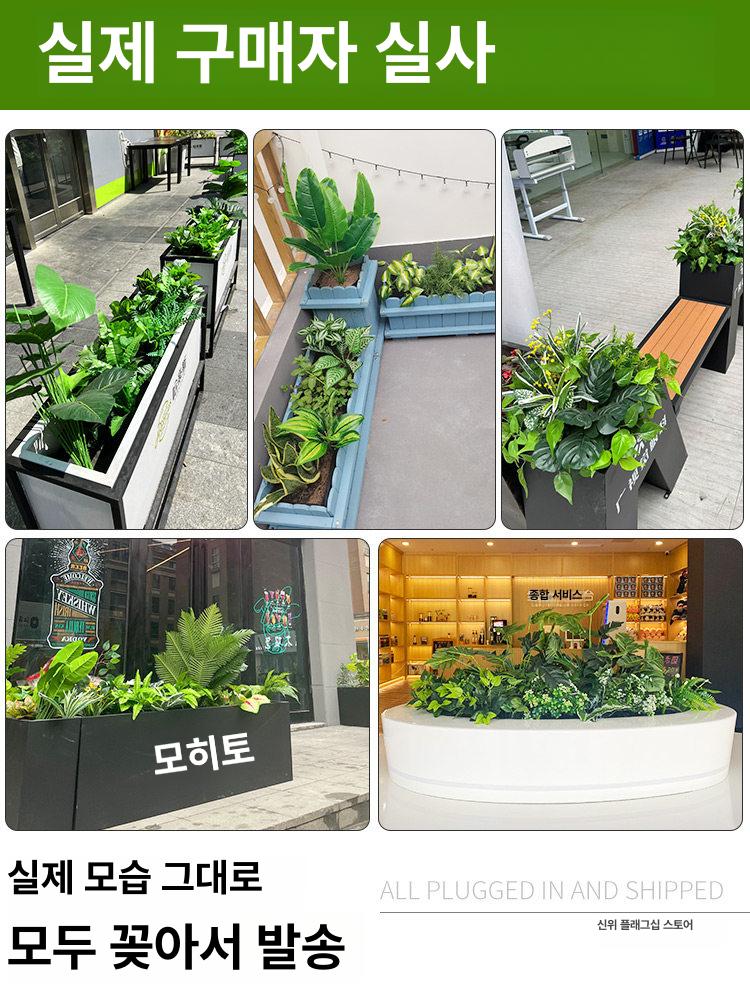 인조화초 열대 조경 모형 야외 장식 인테리어 화초 야자수 인공 정원 선인장 - 상세 이미지 3
