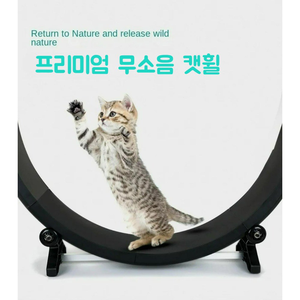 업그레이드 MDF 캣휠 무소음 블랙 링 대형 듀얼 헬시캣 만들기 운동기구 블랙 - 상품 이미지