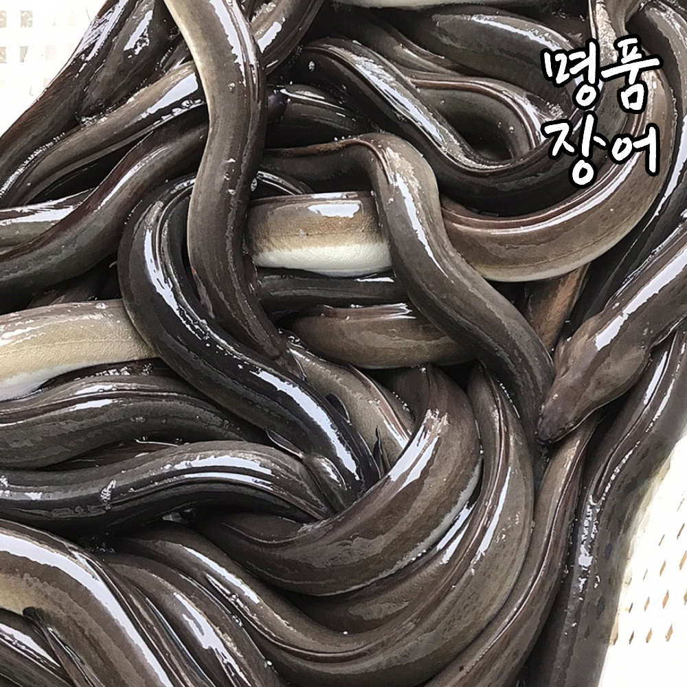 국산 자포니카 장어 민물장어 1kg 소스 2종 초생강 올인원 - 상세 이미지 4