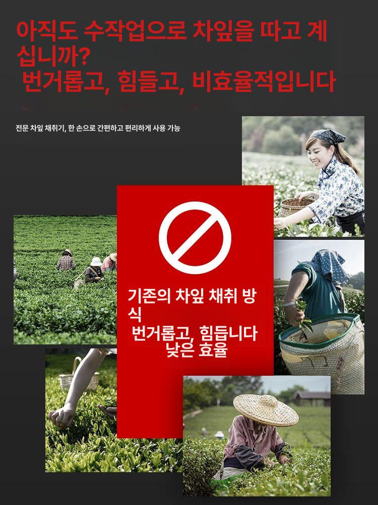 충전식 트리머 쑥잎 녹차잎 채집용 휴대용 수확기 브러시리스 24V 12A 리튬 약 7시간 차 - 상세 이미지 2