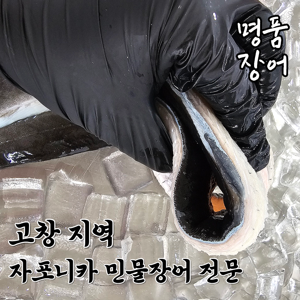 국산 자포니카 장어 민물장어 1kg 소스 2종 초생강 올인원 - 상세 이미지 2