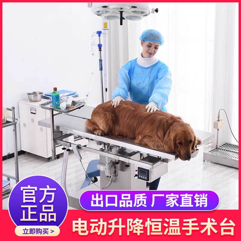 동물병원 수술대 리프팅 의료용 전동 용 진료대 침대 - 상세 이미지 2