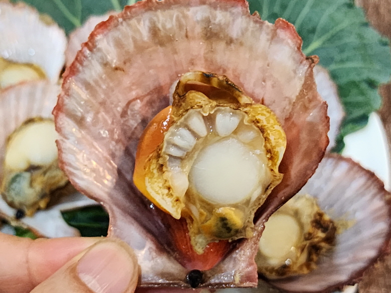 통영 비단가리비 제철 1kg 산지직송 조개구이 조개탕 찜 - 상세 이미지 2
