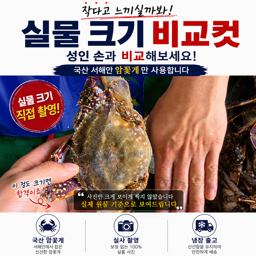 100년보다깊은 서해안 암꽃게장 4마리 2.5kg 냉장 당일제조 간장게장 - 상세 이미지 5