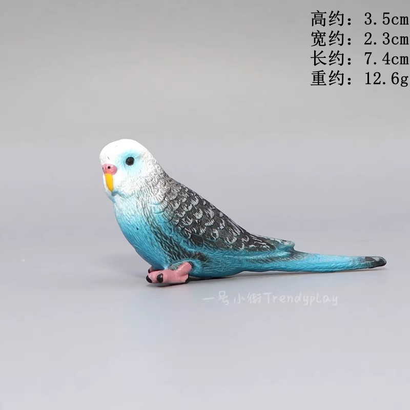 리얼 앵무새 모형 장난감 새 장식품 실심 동물 관모 앵무새 조기교육 인지 선물 인형 6/리얼 새 - 상세 이미지 4