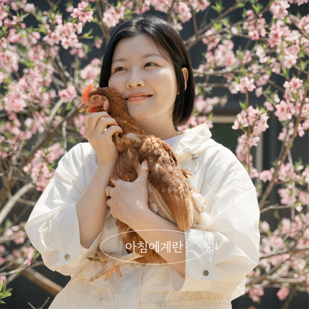아침에계란 청춘이란 난각번호1번 발효곡물 먹은 자연방사 유정란 20구 40구 60구 : 아침에계란