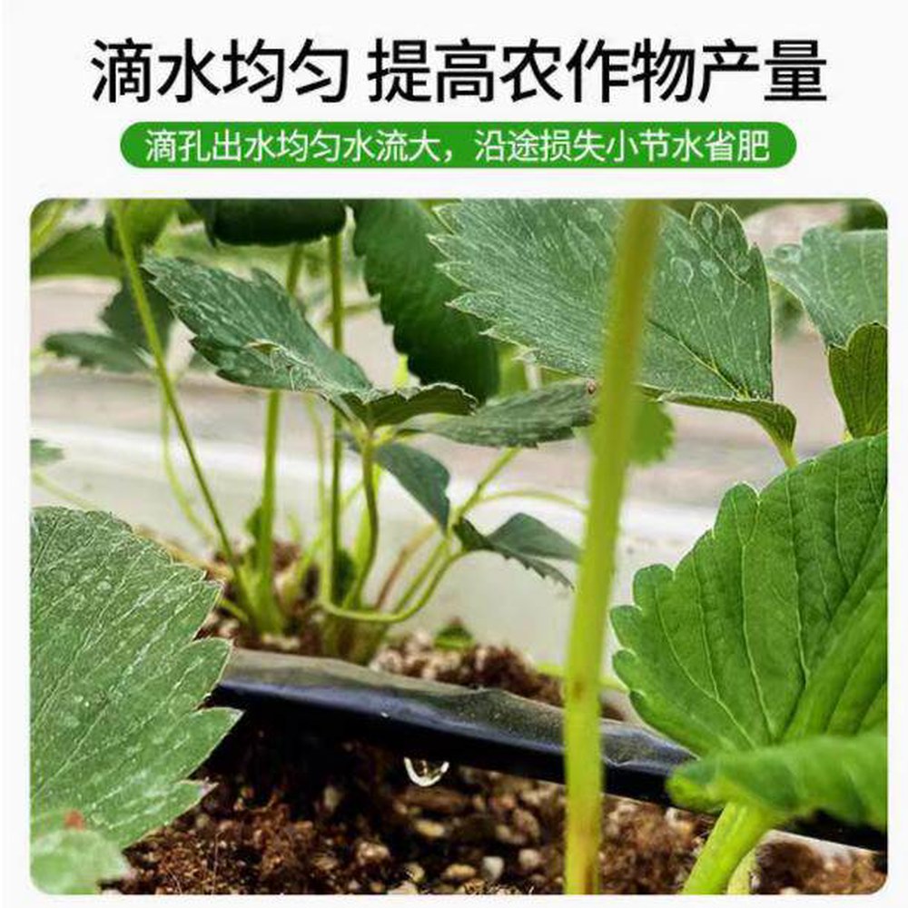 1000미터 두께 호스 태광 물호스부속 연결밸브 무공 점적테이프 스 마감꽂이 라인밸브 2밀리미터 관수자재 점적 0 구멍 1 두께 0 2밀리미터 무공 1000미터 - 상세 이미지 3