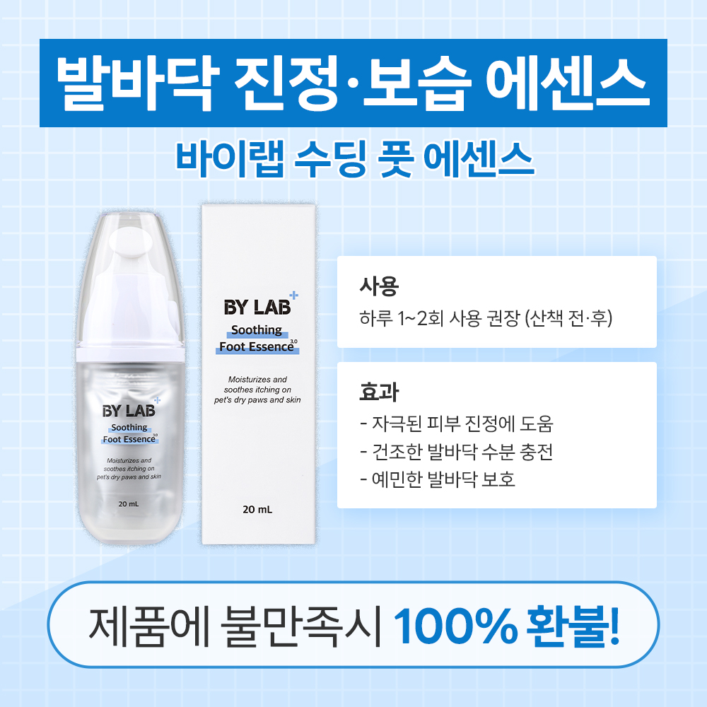 바이랩 강아지 발바닥 보습제 발사탕 발 건조 크림 수딩 풋 에센스, 20ml, 1개