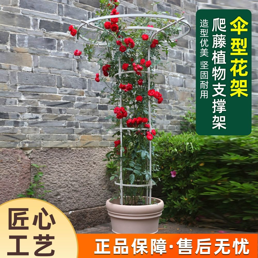 능소화 지지대 오벨리스크 펜스 꾸미기 마당 정원 싱글 루프 화이트 높이 70cm - 상세 이미지 2