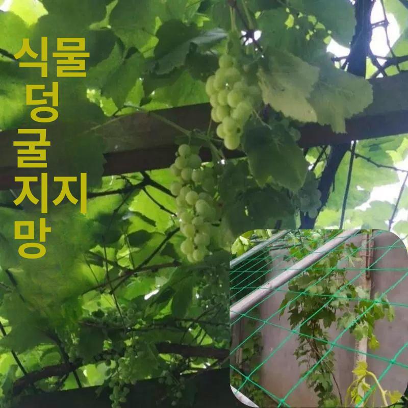 오이망 줄기망 넝쿨 유인줄 네트 오르망 텃밭 식물 그물망 1m 너비 5m 길이 - 상세 이미지 2