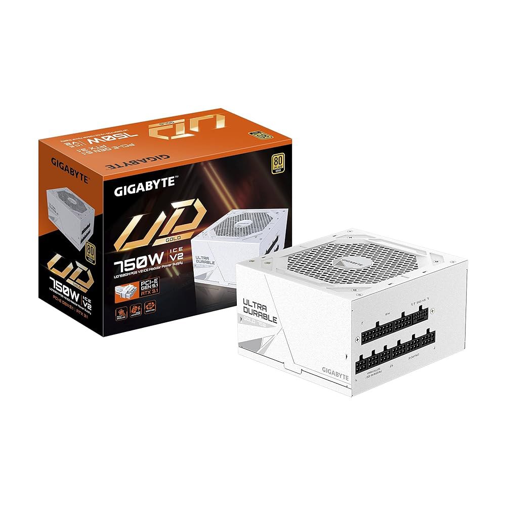기가바이트 UD750GM PG5 V2 ICE - 750W 80 플러스 플래티넘 인증 PCIe5.1 준비 완료 ATX3.1 완전 모듈식 전원 공급 장치(GP-UD750GM ICE) - 상품 이미지