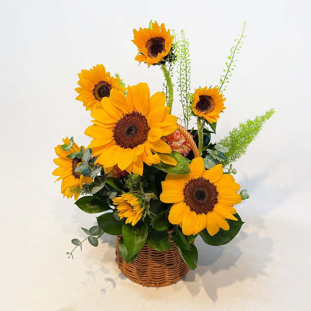 해바라기 꽃바구니 꽃다발 생화 꽃집 생일 기념일 발렌타인데이 전시회 꽃배달 꽃배송서비스 - 상세 이미지 3