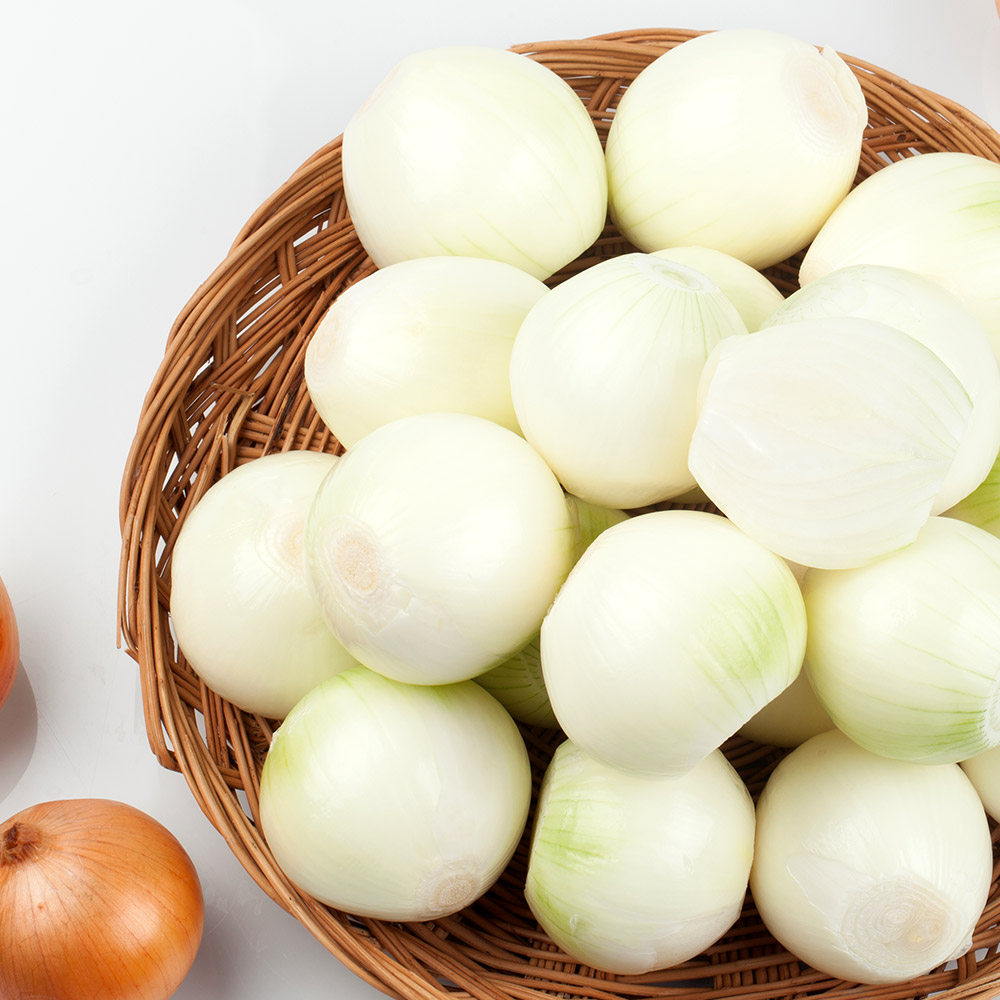 [농할20%] 새벽경매 국내산 햇양파 상품 3kg - 상세 이미지 4