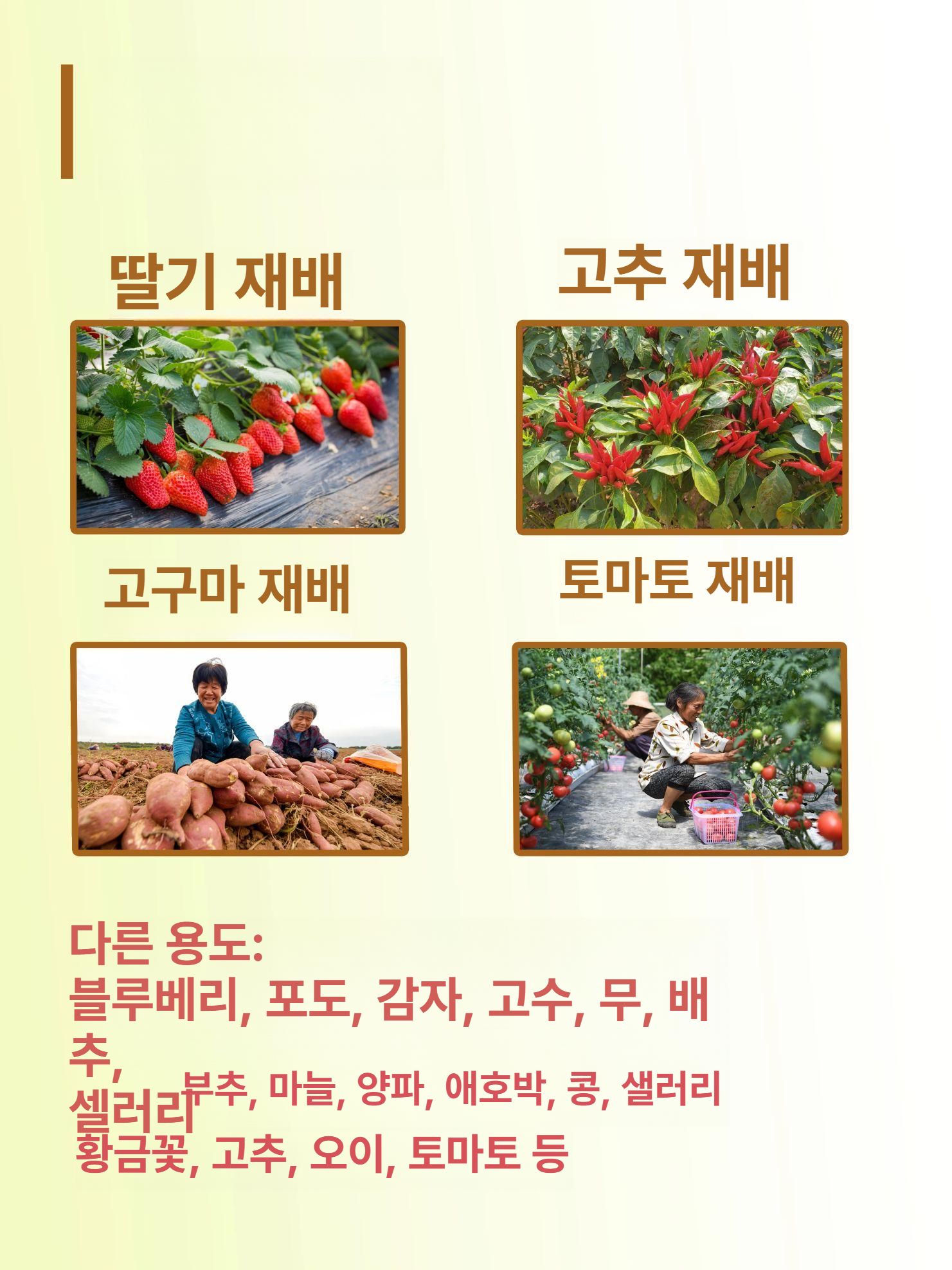 농업용 분사 호스 농수관 분수 농사용 텃밭 점적 시설 워터릴 분무 비닐하우스 농자재 - 상세 이미지 4