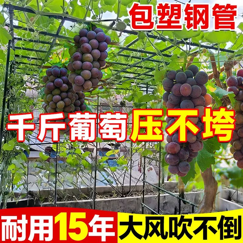 단호박 지지대 애플수박 식물 지주대 소형 네트 신상품 모자 8mm 60cm 10개 - 상세 이미지 4