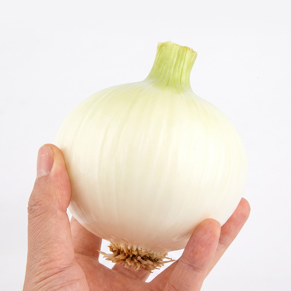 [농할20%] 새벽경매 국내산 햇양파 상품 3kg 이미지 7