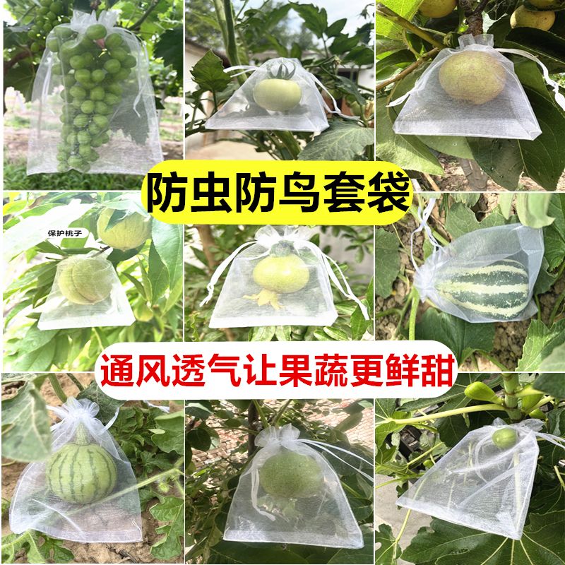 해충방지 망사 보호망 과일 복숭아 무화과 곤충 9x12cm 20개 딸기 소형 무화과 - 상세 이미지 2