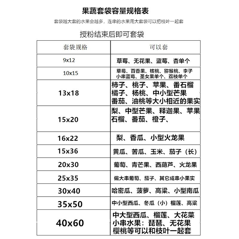 해충방지 망사 보호망 과일 복숭아 무화과 곤충 9x12cm 20개 딸기 소형 무화과 - 상세 이미지 5