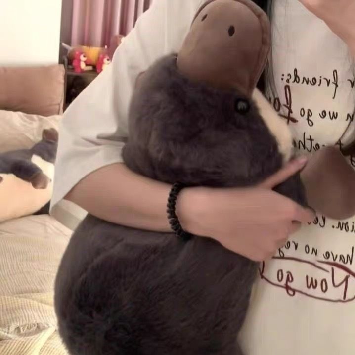 오리너구리 인형 안고자는 국민 애착 쿠션 베개 큰 대형 대왕 수면유도 인형 등쿠션 쇼파쿠션 이미지 8
