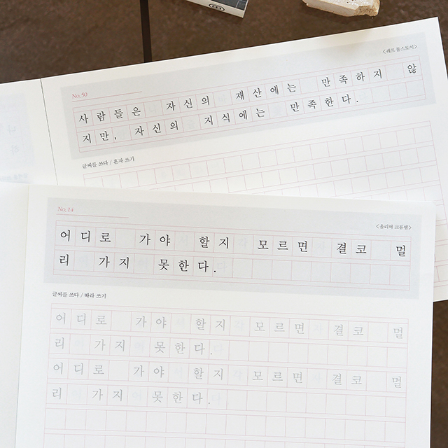 글씨를 쓰다_명언으로 완성하는 바른 글씨 (두 줄 중간 글씨 쓰기) 어른학습지⑥ - 상세 이미지 4