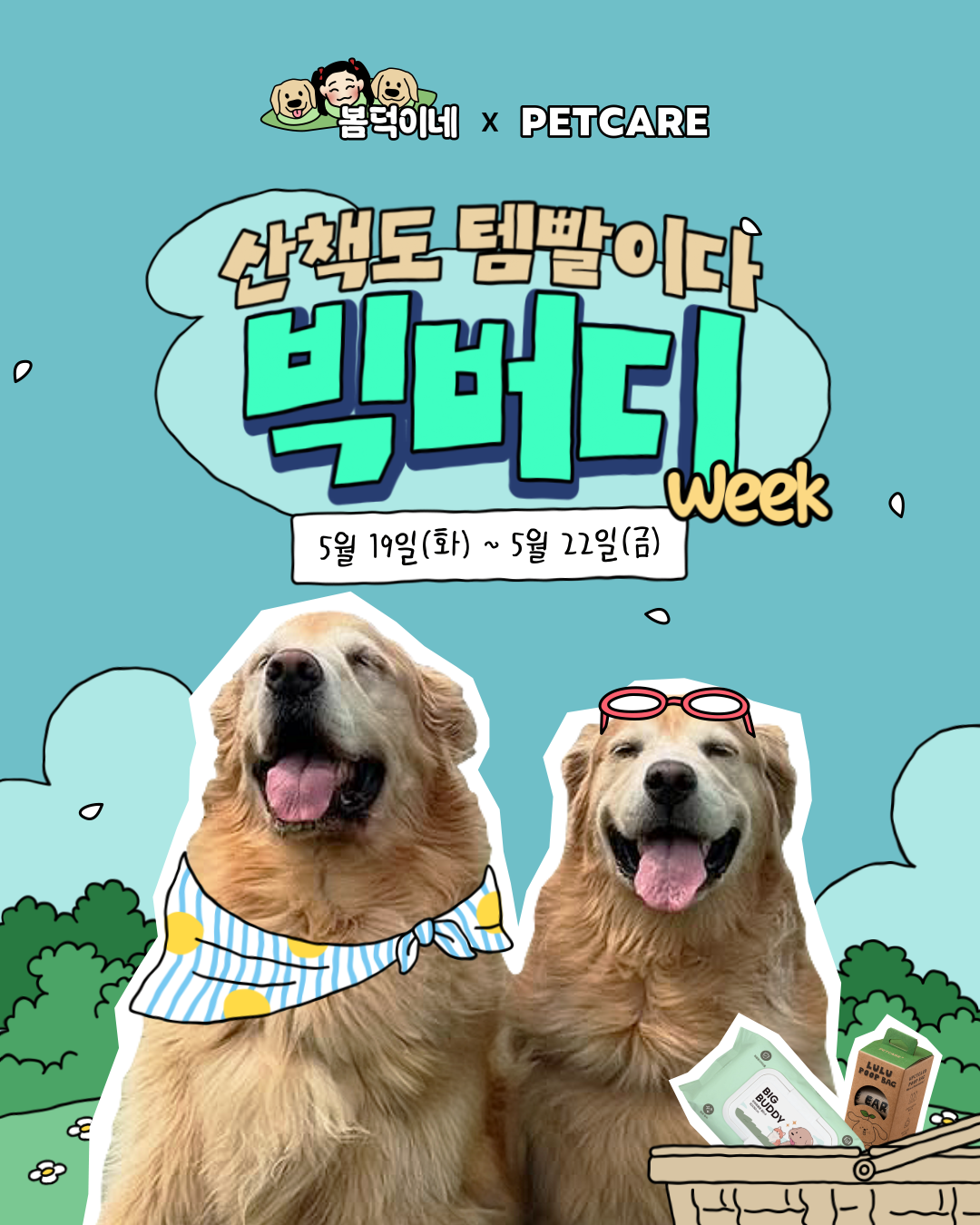 봄덕이네x펫케어 강아지 물티슈 빅버디 20매 5팩 세트 초보도 쉽게 관리하는 요령과 선택 기준