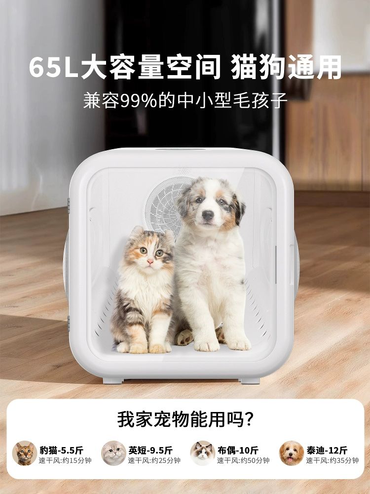 펫드라이룸 강아지 고양이 건조기 저소음 기본형 반려동물 스트레스 완화 안심 창 - 상세 이미지 2