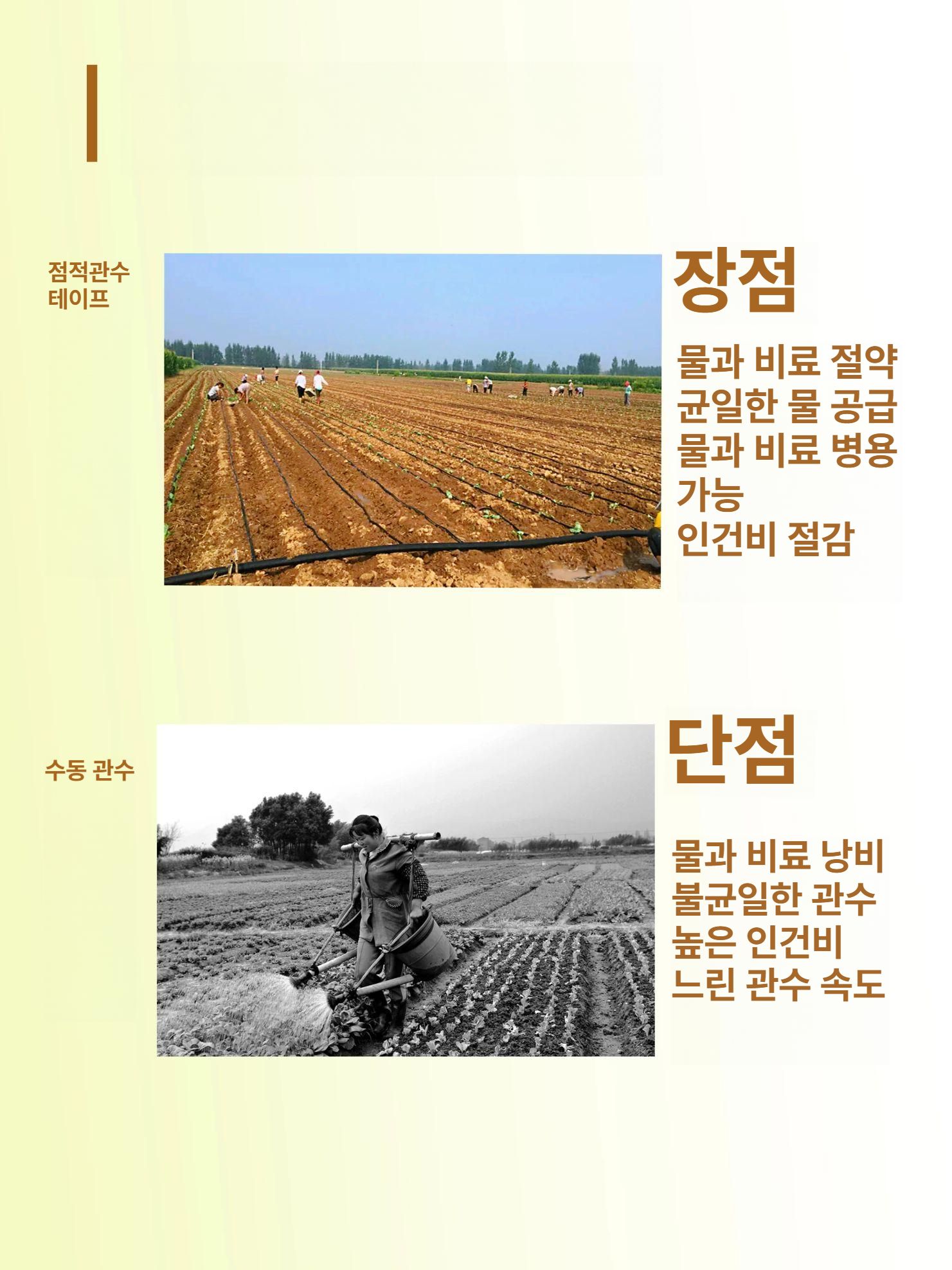 농업용 분사 호스 농수관 분수 농사용 텃밭 점적 시설 워터릴 분무 비닐하우스 농자재 - 상세 이미지 5