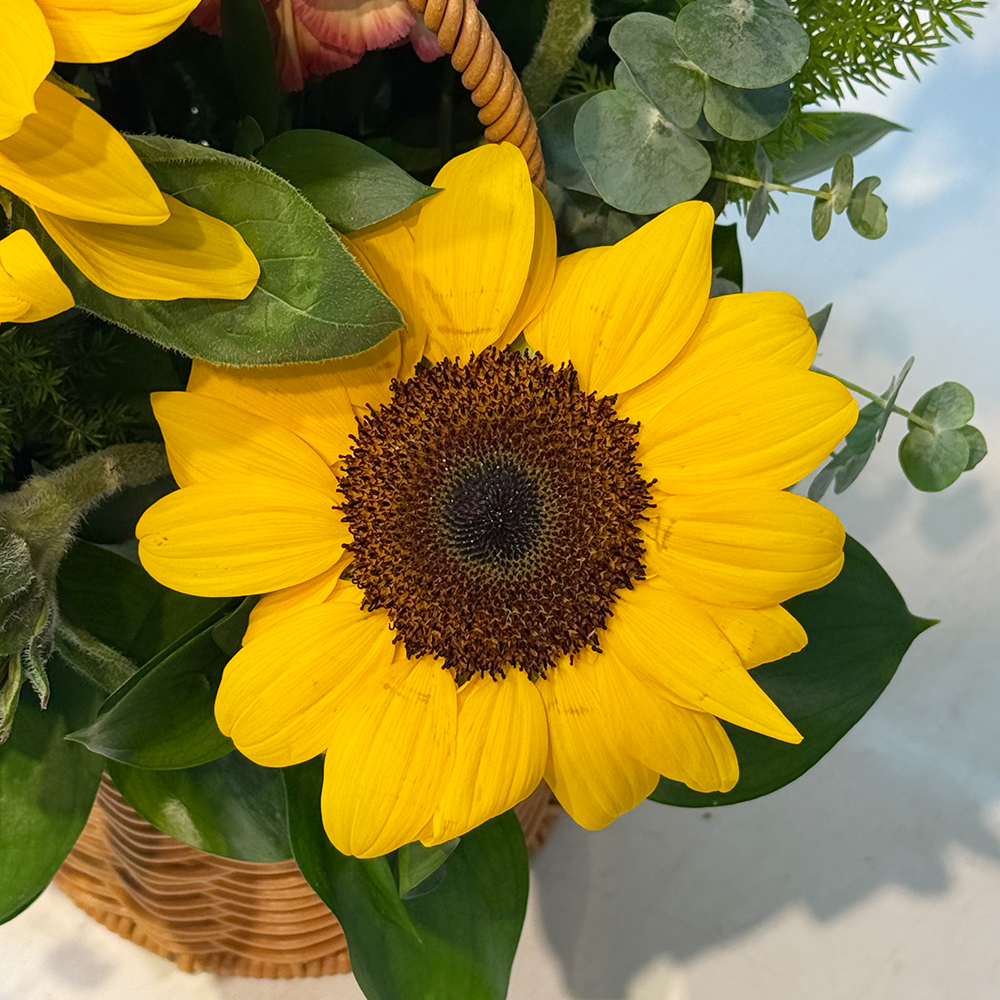 해바라기 꽃바구니 꽃다발 생화 꽃집 생일 기념일 발렌타인데이 전시회 꽃배달 꽃배송서비스 이미지 7